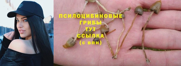MDMA Premium VHQ Касимов