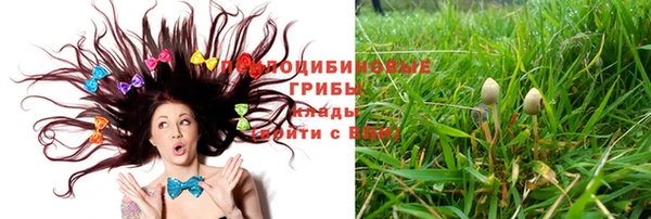 амф Карталы